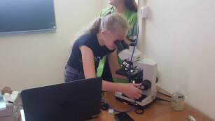 Uczennica ogląda preparat w mikroskopie
