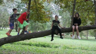 Uczniowie przebywający na drzewie