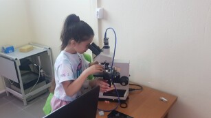 Uczennica ogląda preparat w mikroskopie